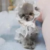 Vêtements pour chiens Vêtements pour animaux de compagnie Robe mignonne Chapeau respirant Belle jupe en dentelle pour chiot