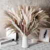 Fleurs décoratives 80 PCS Herbe de Pampa Sèche Bouquet Naturel Boho Décor À La Maison Fleur Séchée Petit Roseau Fluffy Plantes Décoration Pour Salle De Mariage