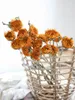 Dekorative Blumen, getrocknete Sonnenblumen, ewige, echte, natürliche Heimdekoration, Arrangement, florale Hochzeitsaccessoires