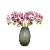 Flores decorativas Orquídea de borboleta de seda artificial para festival de casamento de festival de casamento Decoração de Natal Falsa Fala Phalaenopsis Material