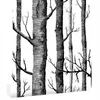 Wallpapers Wood Self-adhesive Wallpaper Birch Tree Waterproof PVC Living Room Background Wall Entrance Decoration Stickers