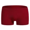 Underpants Men Men Ice Roupa de seda