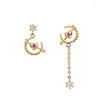 Ohrstecker Herz Hoop Pink Gold Farbe Ohrring mit langer Kristallkette am Abend Party Hochzeitsgeschenk für Frauen
