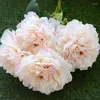 Dekorativa blommor 1 Bukett Big 5 Heads White Peonies Högkvalitativ Peony Silk Artificial For Wedding Home Decoration Roses