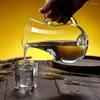 Heupkolven Baijiu Wine Dispenser Glass Huishouden Dikke buitenlandse capaciteit Flessenset kristal met schaaldecante