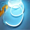 Bandes LED Neon Light AC220V SMD2835 Ice Blue Flexible Imperméable IP67 Outdoor Neon-Light Sign Lampe douce