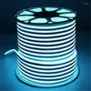 Strips LED Neon Light AC220V SMD2835 Ice Blue Flexible Waterproof IP67 Outdoor Neon-Light Sign Soft Lamp