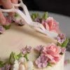 Nouveau 9 pièces/ensemble fleur ciseaux + plateau à gâteaux + 7 pièces tulipes Rose buse ongle décor Lifter Fondant crème transfert cuisson pâtisserie cuisine