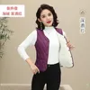 Femmes gilets bas coton gilet vestes dames épaissi 2023 automne hiver laine d'agneau sans manches manteau Hort chaud grande taille gilet femmes