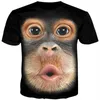 Men's T Shirts 2023 Fashion Men 3d T Shirt Funny Printed Chest Hair Muscle Short Sleeve Summer Tshirts Monkey Face T shirt 230428