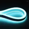 Bandes LED Neon Light AC220V SMD2835 Ice Blue Flexible Imperméable IP67 Outdoor Neon-Light Sign Lampe douce