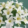 Fleurs décoratives Fleur artificielle pratique Non-fading Légère Mise en page de fausse scène écologique
