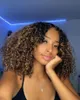 Ombre Brown Mogolian Kinky Curly Bob Poster Divaswigs w kolorze brązowym 3B3C 13x4 Krężnice koronkowe przednie ludzkie peruki dla włosów dla czarnych kobiet