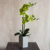 Flores decorativas Orquídeas Artificiais Phalaenopsis Simulação 3 cores Flor Fake With Pot Nordic Home Room El Garden Warden Garden