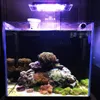 Verlichting ZETLIGHT ZA1201L ZA1201 ZA1201WIFI LED licht koraal groeien marine rif tank wit blauw aquarium aquarium SPS LPS kleur groeien