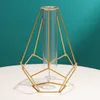 Wazony geometryczne linia żelaza kwiaty wazon terrarium prosty retro metalu uchwyt roślinny nowoczesny nordycki hydroponiczny wazon z kutego żelaza 230428