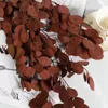 Decorative Flowers Natural Dried Flower Millet Fruit Leaves Eucalyptus Apple DIY Floral Arrangement Supply Wedding Party Home Ornament