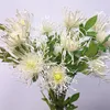 Decoratieve bloemen 3 hoofden Leucospermum kunstmatig voor bruiloftdecoratie flores kunstmatige plastic nep bloemplant fleurtificielle