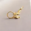 Orecchini a cerchio in argento 925 con anelli a cerchio piccolo in oro 18 carati, colore animale, elefantino, piercing, brinco, donna, pendientes