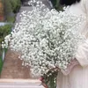 Fiori decorativi Respiro artificiale del bambino Bouquet naturale di gypsophila essiccata Decorazioni di nozze Puntelli Po fai da te Teste di fiori Ramo