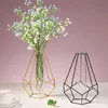 Wazony geometryczne linia żelaza kwiaty wazon terrarium prosty retro metalu uchwyt roślinny nowoczesny nordycki hydroponiczny wazon z kutego żelaza 230428