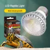 Beleuchtung UVA UVB Led Reptile Light Turtle Basking Platform Vollspektrum-Sonnenlampe für Eidechsen, Bartagamen, Reptilien und Amphibien