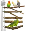 Zabawki 5pcs/zestaw papugi papugi surowy drewniany stojak na stojak na gałęzie zabawek dla ptaków sznurka akcesoria