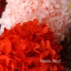 Dekoracyjne kwiaty zachowane całą hortensję paniculata farbowanie elipsy liście biura dekoracje ślubne dom