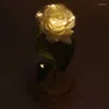 Fleurs décoratives Ornements préservés de fleur artificielle de rose avec la couverture en verre et la lumière pour l'anniversaire de Noël de la Saint-Valentin