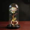 Decorative Flowers Preserved Flower Glass Cover Gold Foil Rose Decoration Valentine's Day Christmas LED Copper String Lampshade