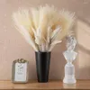 Fiori decorativi Erba di pampa artificiale Grande bouquet alto e soffice Festa di nozze Decorazione per la casa Simulazione di piante Fiore fai-da-te Reed Boho