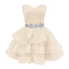 Kurze Heimkehrkleider Kristall Schatz Ballkleid Partykleider Prinzessin Lace-up Tüll Mini Geburtstag Abschlussball Graudation Cocktailparty Kleider 21