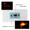 Terrari Incubatrice per uova Incubatrice digitale automatica a temperatura 12V Schiusa per pollame e pollo Incubatrice ad acqua in schiuma Strumenti per incubazione agricola