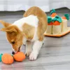 Speelgoed Huisdieren Honden Speelgoed Wortelspel Puzzel Hondenspeelgoed Slow Food Training Speelbal Huisdierenspeelgoed Spel Zacht kauwspeelgoed IQ Educatieve benodigdheden Nieuw