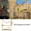 Toys Pet Bird Chew Toy With Feeder Cup Wood Parrots Play Stand Play Gym Parakeet PlayPen Ladder Swing rostfritt stål