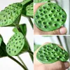 Dekorative Blumen 1Pc Fake Lotus Seedpod Anti-Fall Glatte Oberfläche Kunstleder Hochzeit Requisiten Künstliche Pflanze Schreibtischdekoration