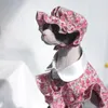 Abbigliamento Camicia per gatti Abito estivo sottile per animali domestici Abito floreale Cappello per gatti senza peli Sfinge un set di abiti per gatti