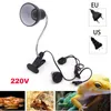 Lighting 50W 75W 100W Mini Pet Reptile Heat Lamp Kit with Clipon Lights E27 Socket Holder Heating Lamp Set Tortoises Basking Lighting