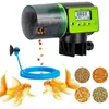 Matare AF2019B Smart Automatisk fiskmatare Digital Fish Tank Cool Auto Feed Dispenser med LCD indikerar timer akvariumtillbehör