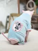 Vêtements Cat Vêtements d'hiver Chats doux chauds Sweat à capuche en coton sphynx Costumes de chat Pullover Sphinx Vêtements de chaton Supplies pour chats pour chats