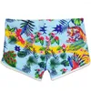 Мужские купальники 2023 летние мужчины купания купания Maillot de Bain Boy Swim Suits Boxer Shorts Tiger Print Prant