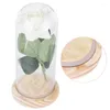 Fleurs décoratives Ornements préservés de fleur artificielle de rose avec la couverture en verre et la lumière pour l'anniversaire de Noël de la Saint-Valentin