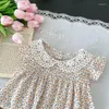 Abiti da ragazza Ins Summer Baby Dress 0-3Yr Born Babygirl Maniche corte floreale Peter-pan Colletto in pizzo Tute per bambini