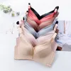 Bras Logirlve Solide Femmes sans couture sous-vêtements Push Up Bra Bra respirant grande taille Bras Femme Lingerie Sexy Wireless Bras confortable BH 230503