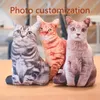 Levert Nieuwe Hot Foto Maatwerk Kat Diy Kussens Simulatie 3D Creatieve Gift Honden Kussen Knuffels Poppen Gevulde Katten Dropshipping