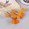 Decorative Flowers Real Natural Dried Flower Strawberry Fruit Bouquet For DIY Home Country Room Decor Wedding Party Decoration Accessories