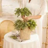 Dekorative Blumen Hochzeit 11-Kopf-Feeling Eucalyptus INS Style Imitation Plants Hersteller Home Decoration Cross-border Großhandel Fake Wall