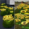 Kwiaty dekoracyjne zasilane słonecznym światłem Wodoodporny ogród kwiatowy na zewnątrz do krajobrazu trawnik dekoracja oświetlenia