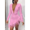 Casual Kleider Frauen Winter Minikleid ONeck Mesh Feder Patchwork Sexy Nachtclub Party Bandage Street Bodycon Kleider 230503