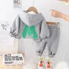 Setler Erkek Bebek Giysileri Sonbahar Günlük Boy Giysileri Toddler Grils Giysileri Bebek Setleri Uzun Kollu Hoodies Pantolon